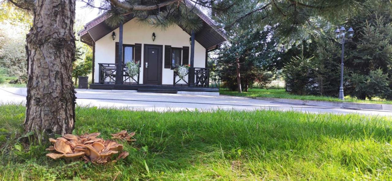 Park-Hotel Kidev Chubynske Exterior foto